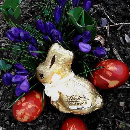 Planetz * Kaindorf (Hartberg-Furstenfeld)