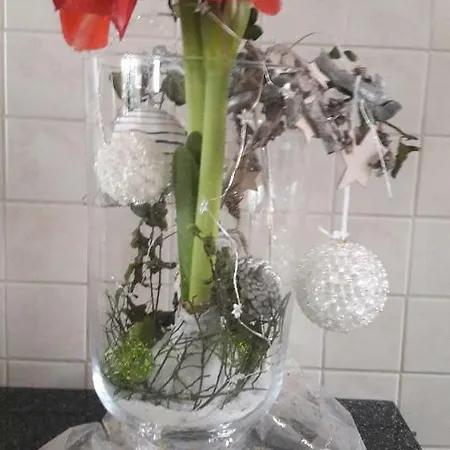 Casa de Férias Planetz