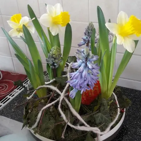 Planetz * Kaindorf (Hartberg-Furstenfeld)