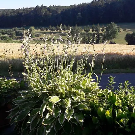 Planetz Casa de Férias