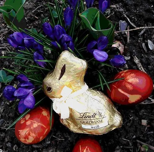 Planetz * Kaindorf (Hartberg-Furstenfeld)