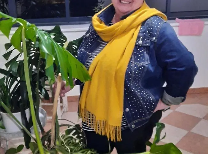 Planetz بيت للعطل