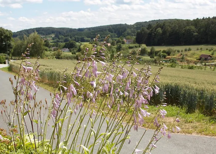 بيت للعطل Planetz *