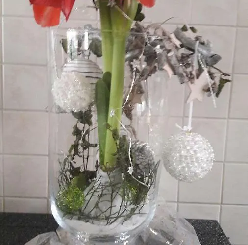 Prázdninový dům Planetz