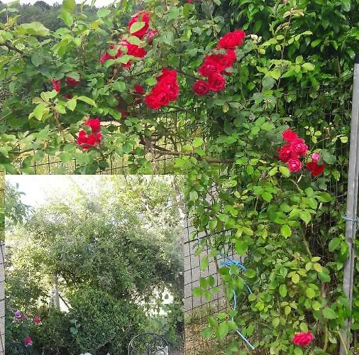 Planetz Prázdninový dům