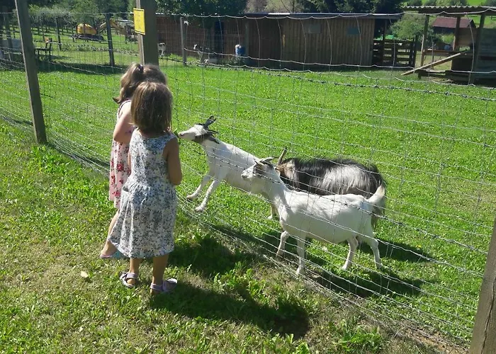 بيت للعطل Planetz