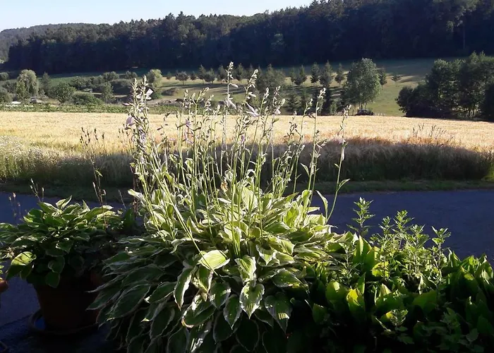 Planetz Prázdninový dům