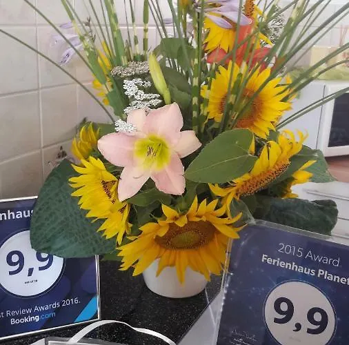 Planetz Kaindorf (Hartberg-Furstenfeld)